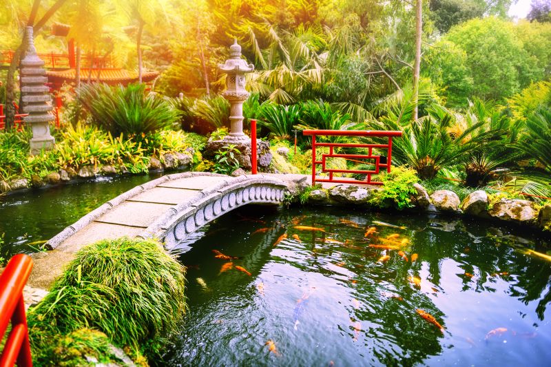 Pond Lighting Installation