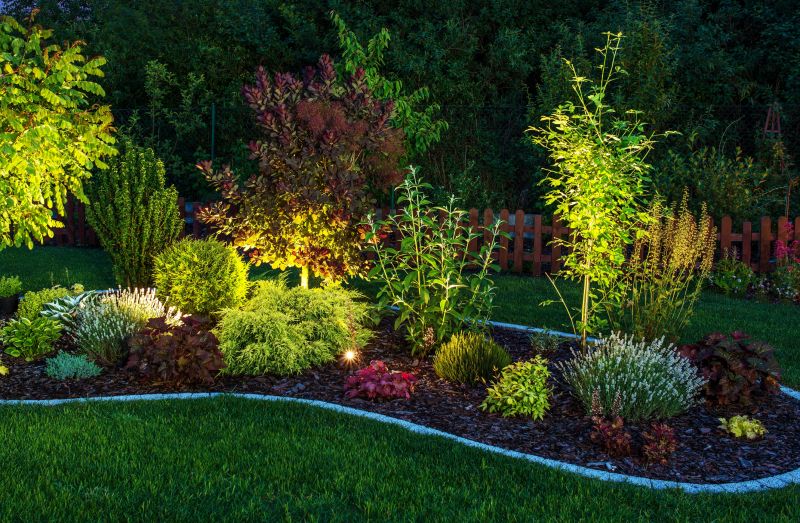 Landscape Feature Lighting