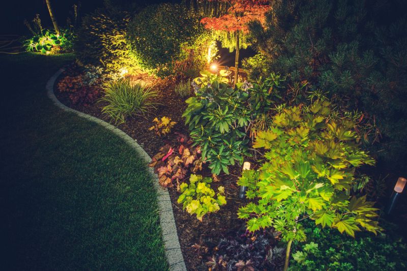 Garden Accent Lighting